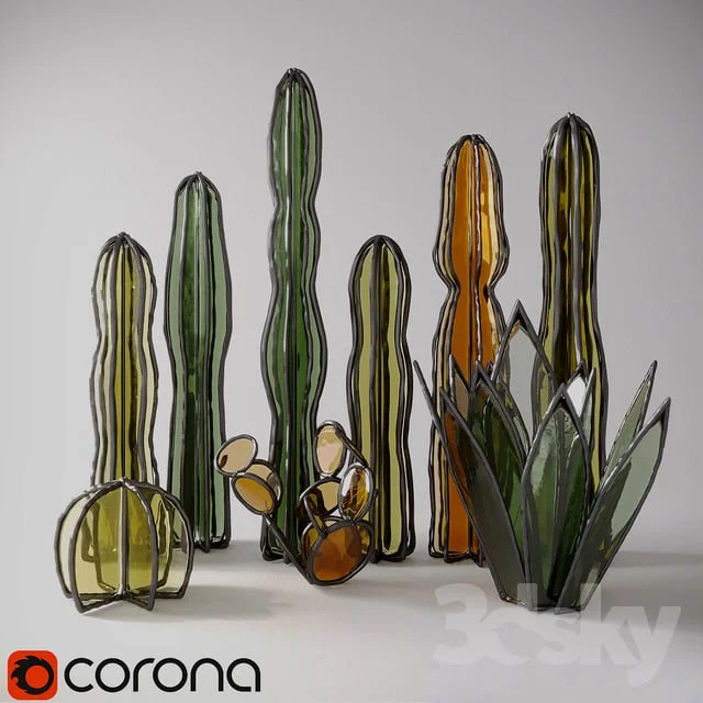 Glass cacti and succulents